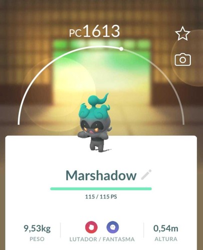 Marshadow pogo pokémon - marshadow, go