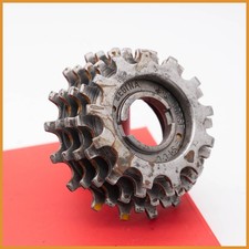 REGINA G.S. CORSE 5 VELOCITÀ