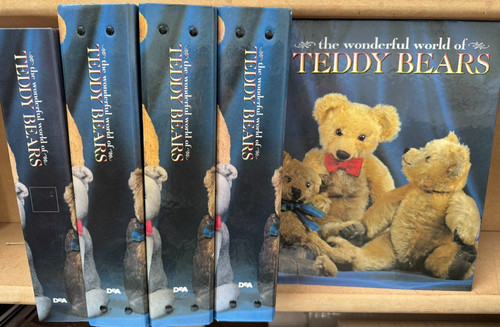 The wonderful world teddy - of,