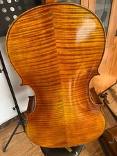 Stradivirus 4/4 Handmade Cello