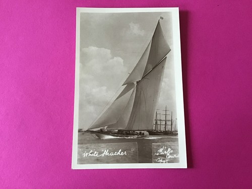 White heather yacht - white,