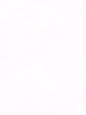 Tela Cerata Tovaglia Bianco