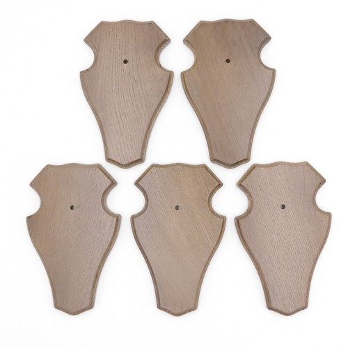 Pezzi cartelli per trofei - 5,