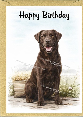 Biglietto compleanno labrador - compleanno,