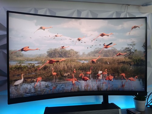 Philips gaming monitor - philips,