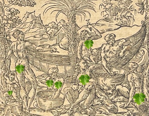 Brasile cannibalismo incisione - brasile,