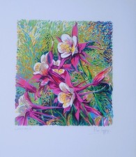 Pino Cappugi serigrafia Iris