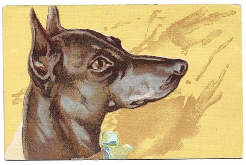 Antica cartolina animali cane - animali:,
