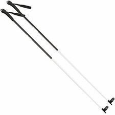 Rossignol FT-500 Bastoncini