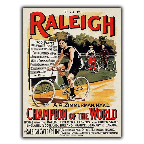 Raleigh biciclette bici - biciclette,