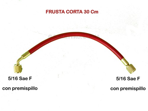 Frusta corta gruppo - frusta,