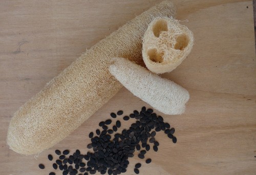 Semi spugna vegetale - 50,