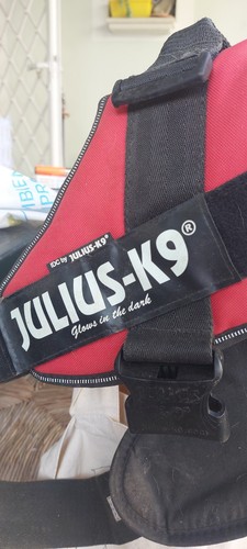 Pettorina cane julius - cane,