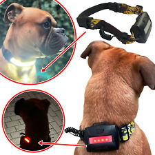 Cane Dog Pannocchia LED 4W Rosso Luce Diurna Sicurezza Blitz Segnale Luce Nastro