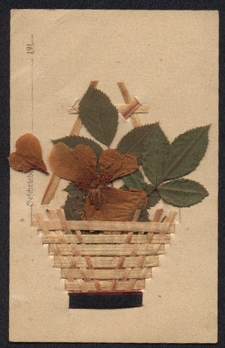 Fiori secchi cartolina - ,