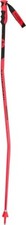 Rossignol coppia bastoni - rossignol,
