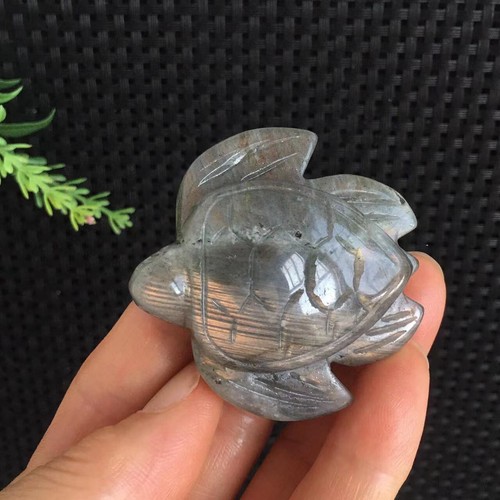 Pietra labradorite flash 50g - pietra,
