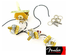 Kit fender stratocaster jimi - fender,