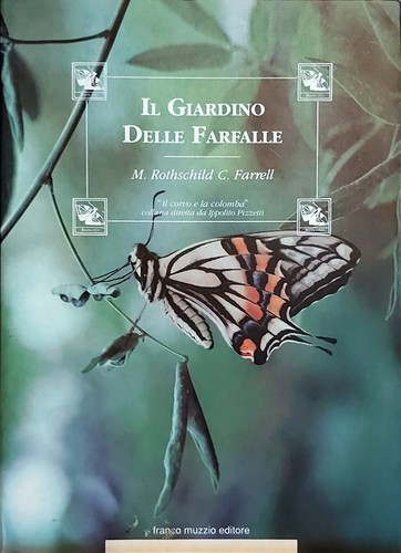 Nuovo giardino delle - giardino,