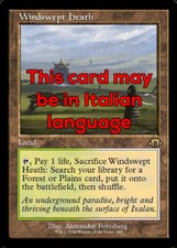 MTG WINDSWEPT HEATH 440 EXC -