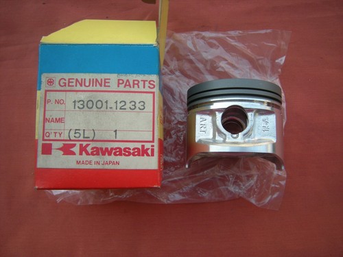 Pistone kawasaki gpz600r - pistone,