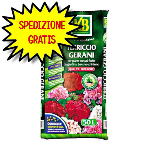 Terriccio gerani piante - kb, e