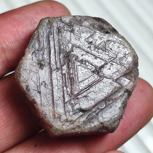 Cabochon custode dischi rubino