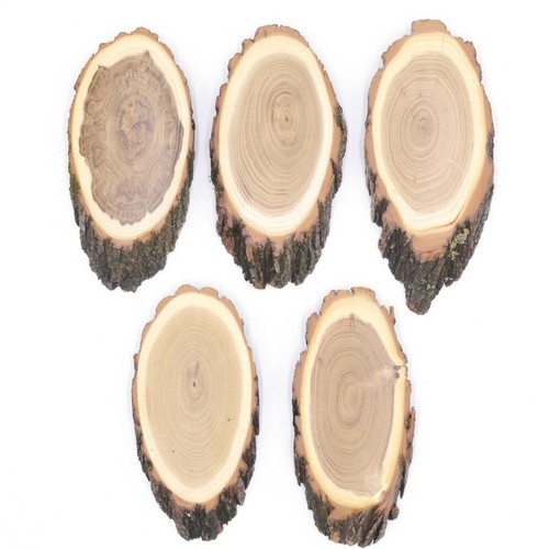 Pezzi piastre trofeo acacia - piastre,