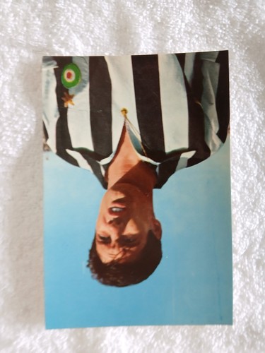 Fotocartolina calciatore - fotocartolina,