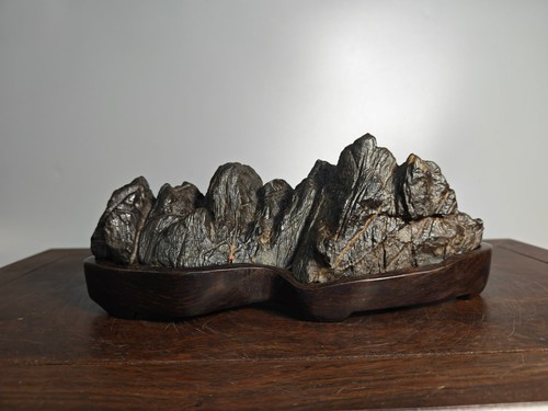 1140 vecchio bonsai cinese - #1140.vecchio,