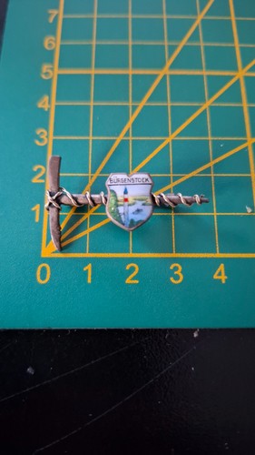 Distintivo pin spilla