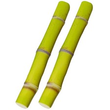 2 Pezzi Modello di Canna da