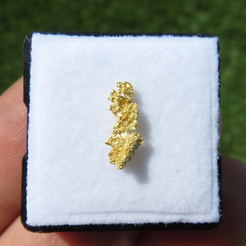 Minerali rara pepita - pepita, d'oro