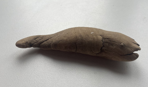 Scultura driftwood forma di - driftwood,