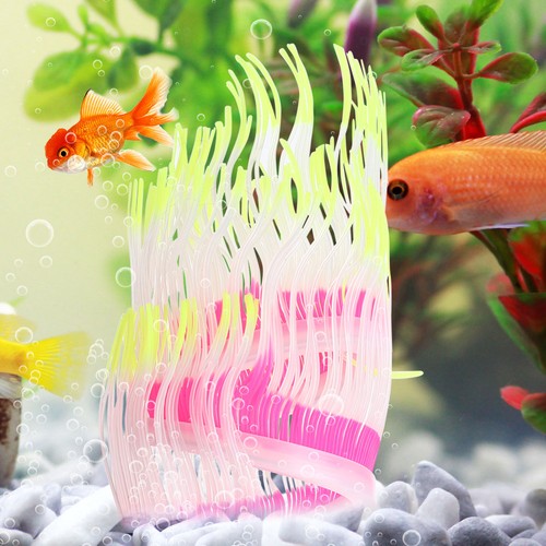 Acquario corallo mare anemone - corallo,