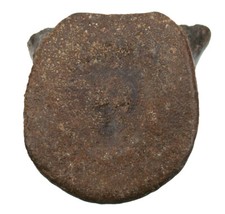 Trias Grande Raro Nothosaurus - Vortice Letto Osso di Bordo Roccia di Invidia X14-7