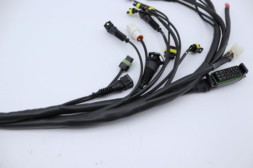 Fascio elettrico ducati - fascio,