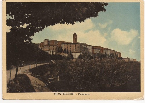 Montecchio panorama - , )