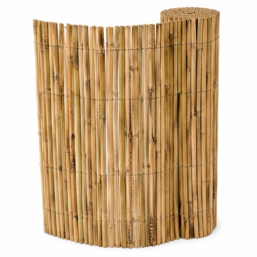 Arella canna bamboo - arella, di