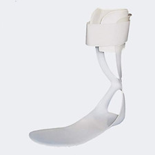 - Molla Di Codivilla - Modello