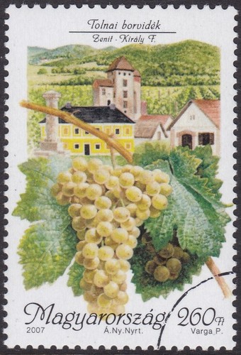 Esemplare ungheria sc4039 - ungheria, uva