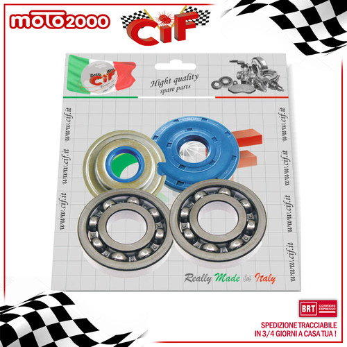 Kit revisione albero motore - revisione,