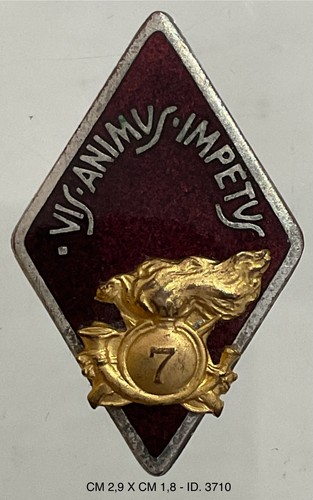 Regia esercito bersaglieri - esercito, 7°