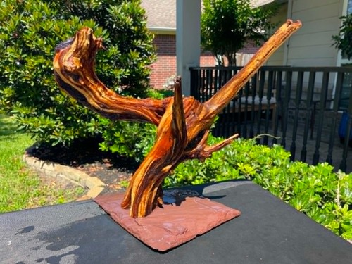 Driftwood mopani acquari pesci - acquari,