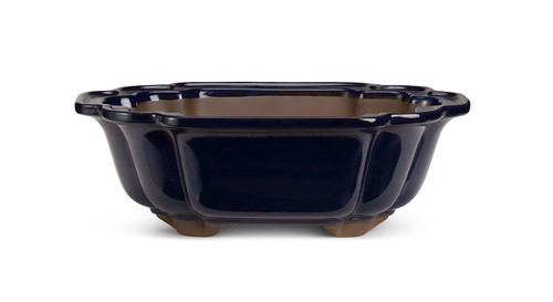 Certrè vaso per bonsai - certrè,