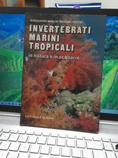 Invertebrati Marini Tropicali In Natura E In Acquario Mancini Gentili Olimpia