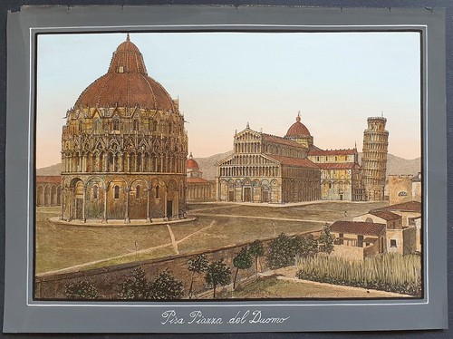 Stampa antica 1891 palmiro