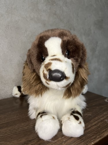 Douglas springer spaniel dog - douglas,