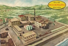 BORGHETTO SANTO SPIRITO Olio Oliva ROVERARO riviera ligure Savona cartolina