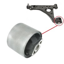 Boccola Del Braccio Anteriore